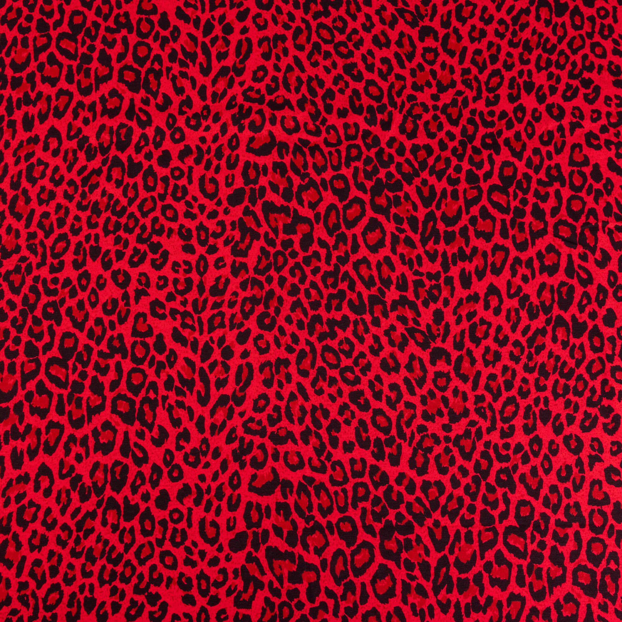 Red Leopard Print Stretch Jersey Fabric – Brunswick Mills
