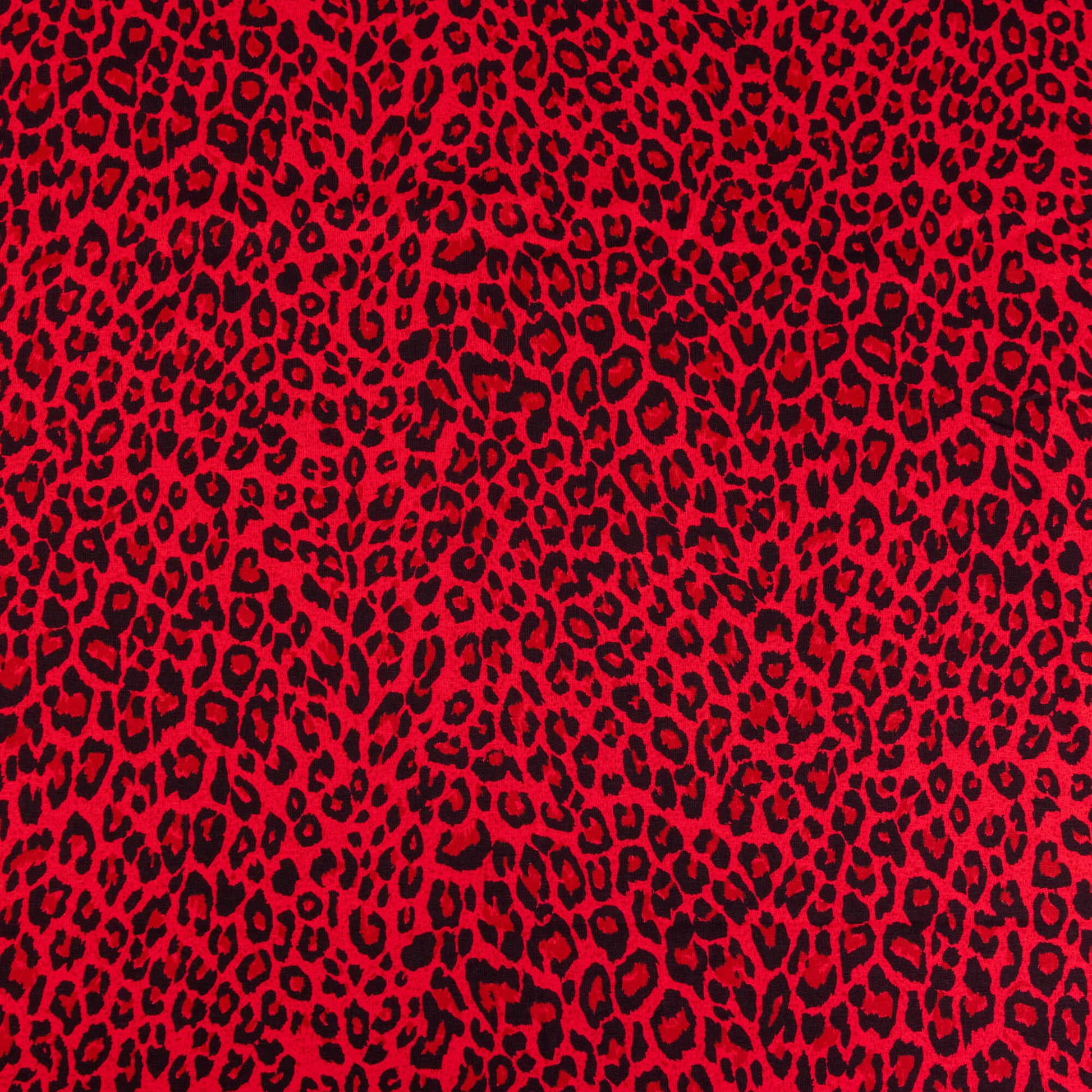 A wide of bright red and black leopard print fabric in a soft jersey t-shirt weight perfect for crafting